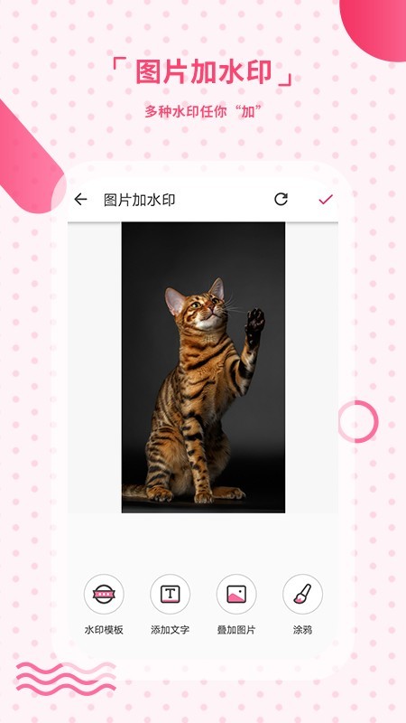水印相机手机版