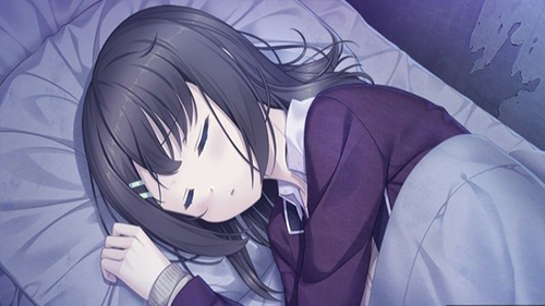 我和她的世界末日最新