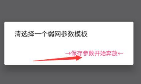 金砖弱网4.0