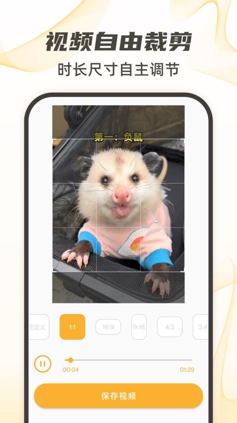 视频下载去水印官网版