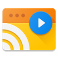 web video caster付费解锁版