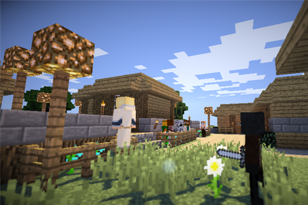 我的世界新生活大冒险图片4