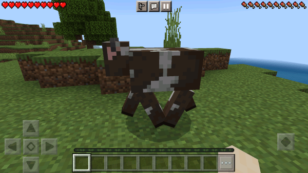 我的世界1.19基岩版