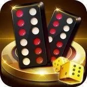 广东骨牌游戏app安卓版v1.0.0