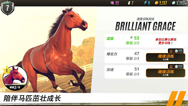 动物时尚裁缝店内购版(Horse Racing)