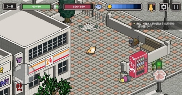 流浪猫的故事图片1