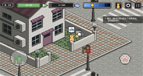 流浪猫的故事图片4