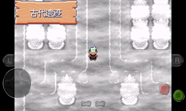 口袋妖怪永恒之沫