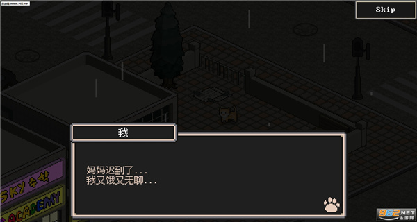 流浪猫的故事图片6