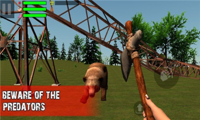 幸存者遗忘的森林完整版