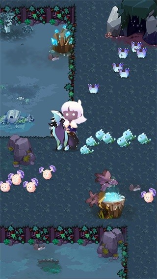 森林里的小女巫无限钻石版