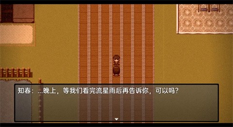 流星降临的小镇来自过去的幽灵游戏