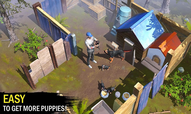 z避难所官方正版