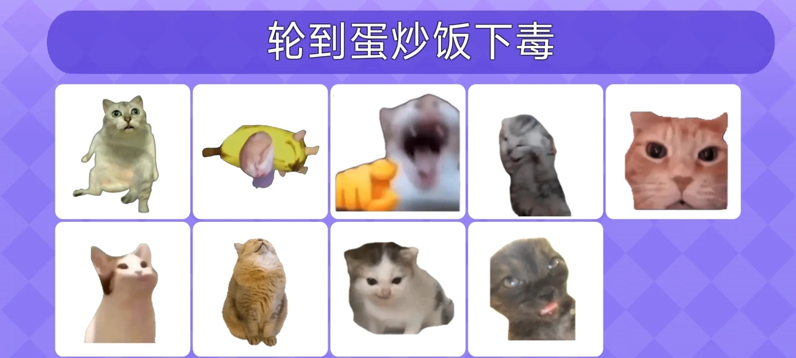 女巫的毒药猫Meme版