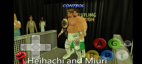 摔跤革命3d汉化版