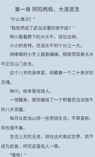 夜猫小说app最新版