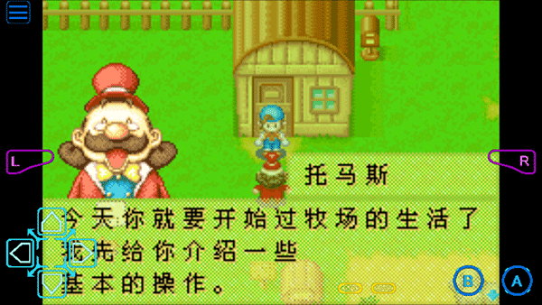 牧场物语矿石镇的伙伴们内置菜单版