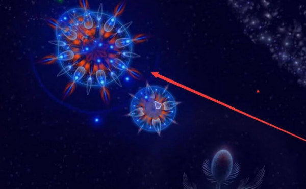 微生物模拟器10