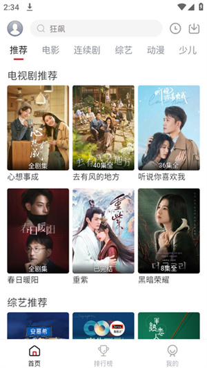 麻花视频免费观看电视剧完整版 第2张图片