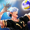 thespike排球高手全人物解锁版