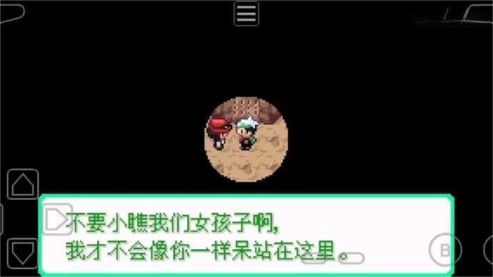 口袋妖怪永恒秩序