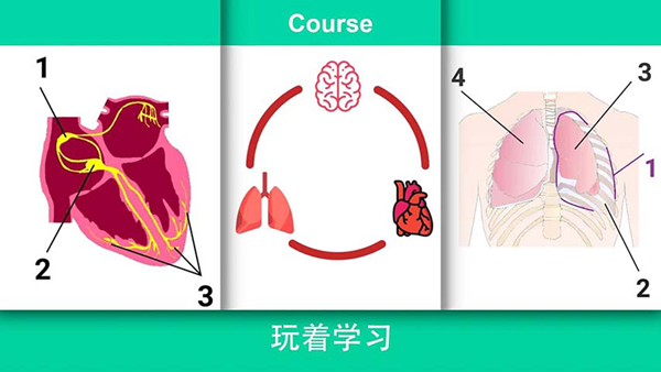 康复公司医疗模拟器免费内购版