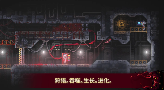 红怪完整版