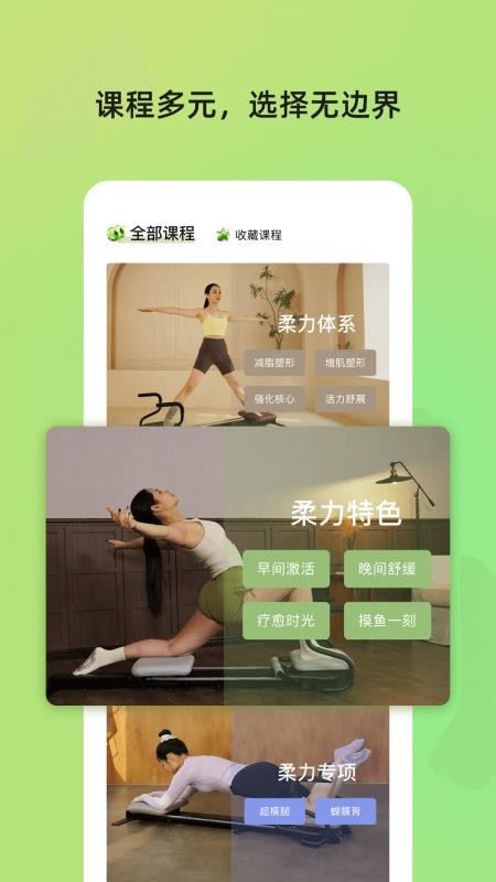 roulistic flex官网版