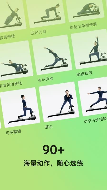 roulistic flex官网版