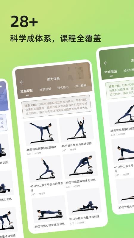 roulistic flex官网版