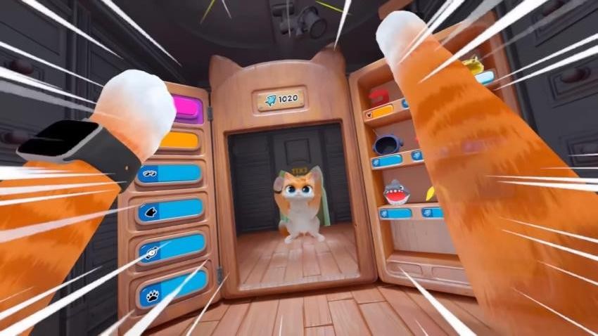 猫猫喵喵喵