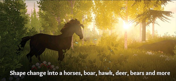 wilderless流浪荒野官网版2026