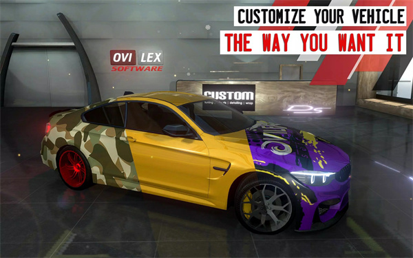 Driving School Sim安装器