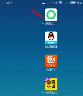 绿光浏览器下载