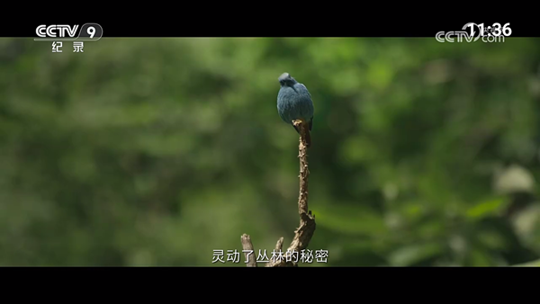 超的电视