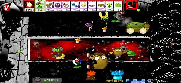 PvZU53RDV