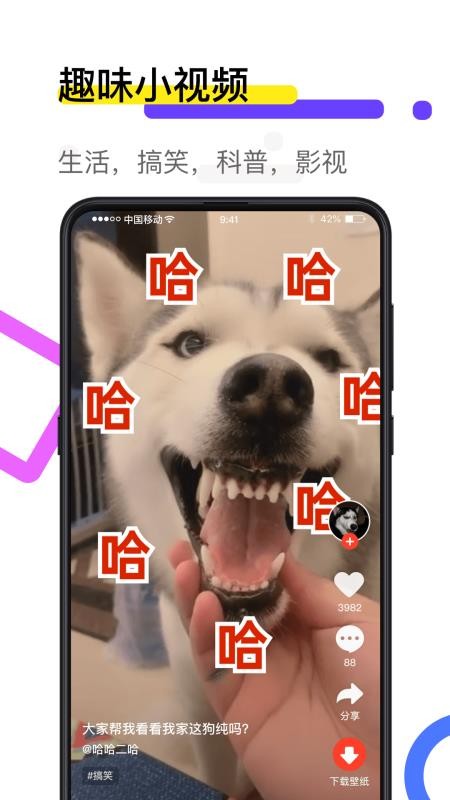 火萤透明壁纸