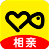 伊对相亲