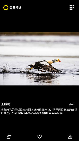 每日精选app