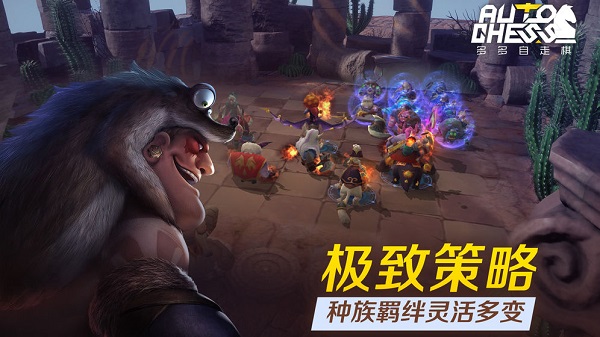 巨鸟多多自走棋渠道服