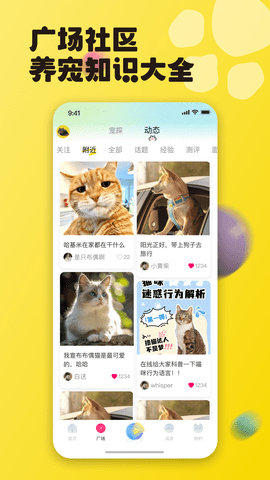 宠之谷