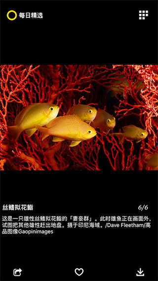 每日精选app