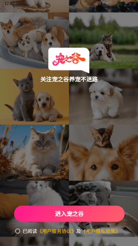 宠之谷