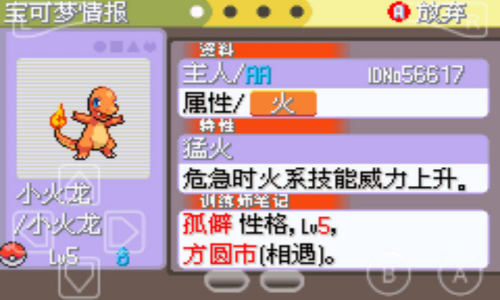 口袋妖怪白金中文版
