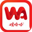Hi娃哈哈