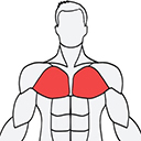 musclewiki最新版