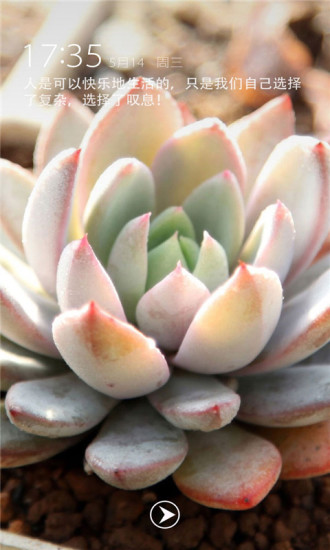 多肉植物主题锁屏APP