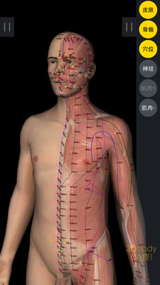 3DBody解剖APP
