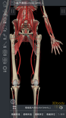 3DBody解剖APP