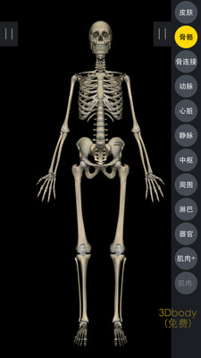 3DBody解剖APP